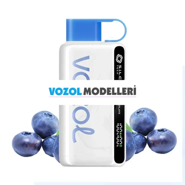 Vozol 12000 Puff Blueberry Storm