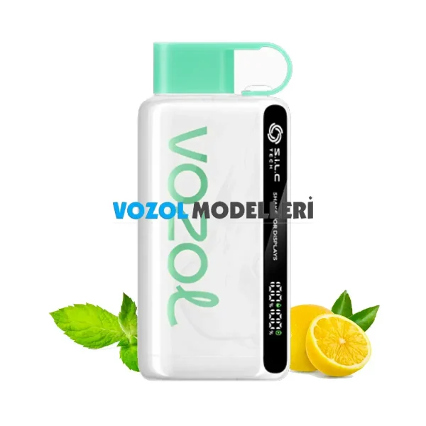 Vozol 12000 Puff Lemon Mint