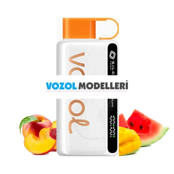 Vozol 12000 Puff Peach Mango Watermelon