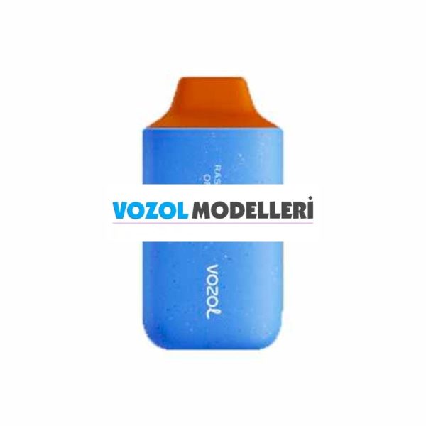 Vozol 6000 Puff Raspberry Orange