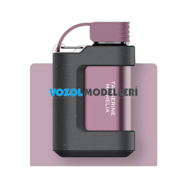 Vozol 7000 Puff Tangerine Michelia