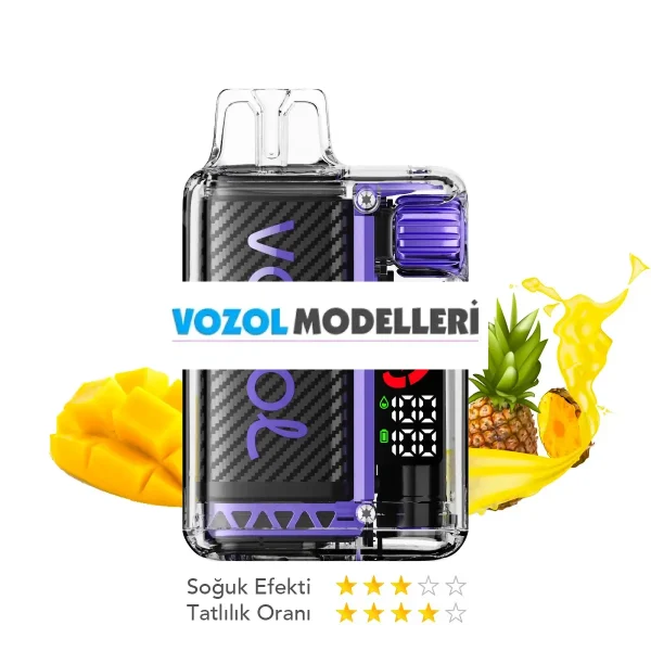 Vozol 20000 Puff Vista Fcuking Fab