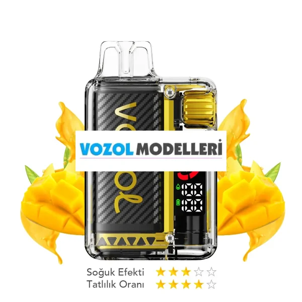 Vozol 20000 Puff Vista Mexican Mango