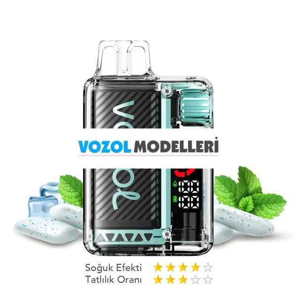 Vozol 20000 Puff Vista Miami Mint