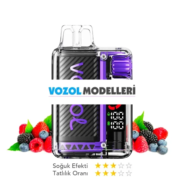 Vozol 20000 Puff Vista Mixed Berries