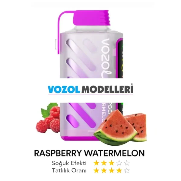 Vozol 20000 Puff Gear Power Raspberry Watermelon