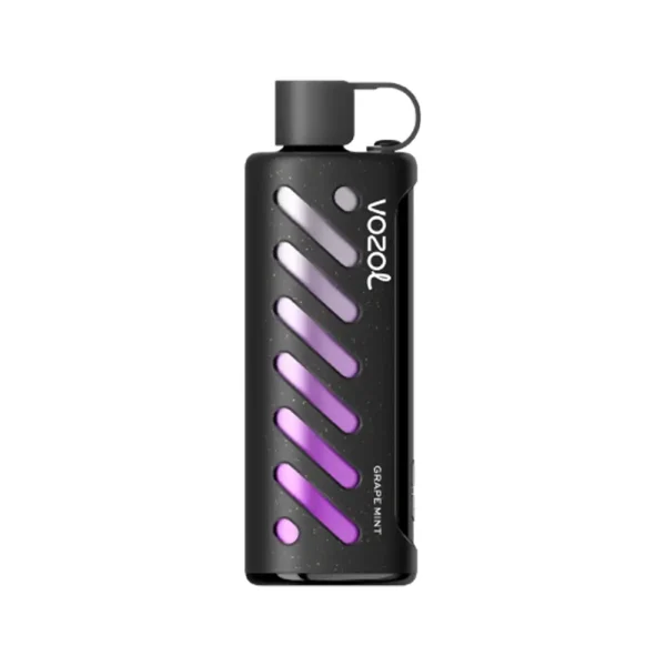 Vozol 25000 Puff Gear Shisha Grape Mint